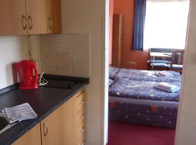 Boruvka Apartament