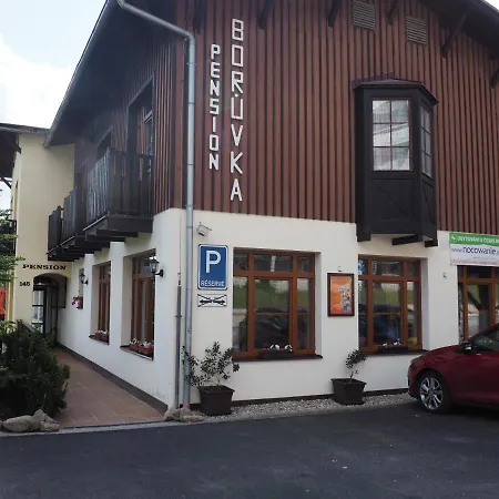 Borůvka * Špindlerŭv Mlýn