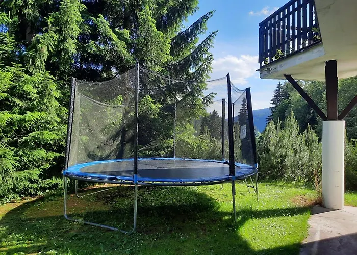 Apartmán Borůvka *