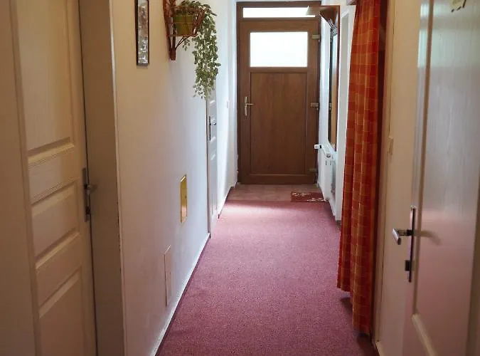 Apartmán Borůvka *