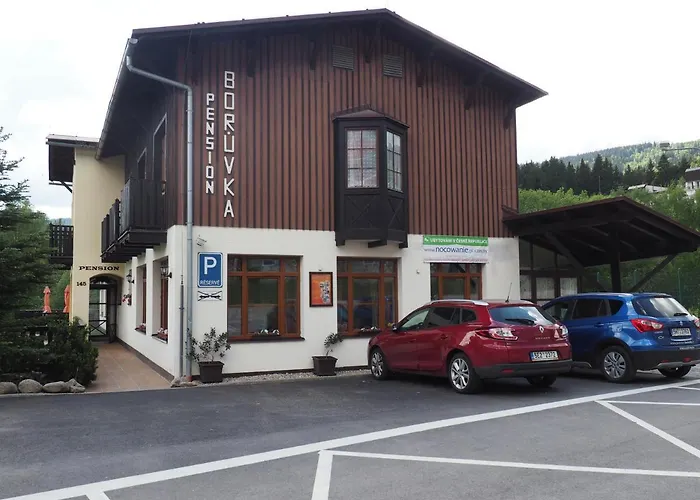 Apartmán Borůvka