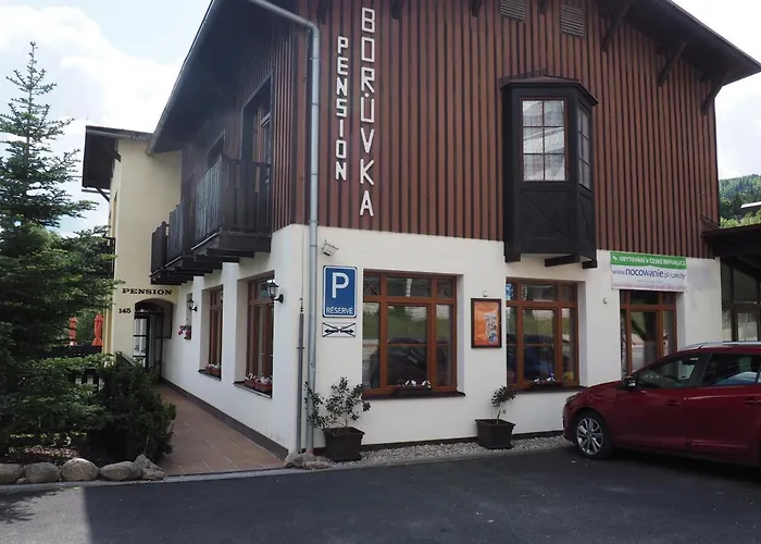 Borůvka * Špindlerŭv Mlýn